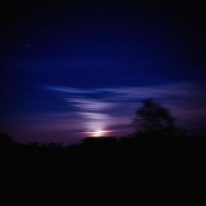 Die Young (feat. lil XipZ, Crizzy White, teddyboi & Danny Adventure) (Explicit)