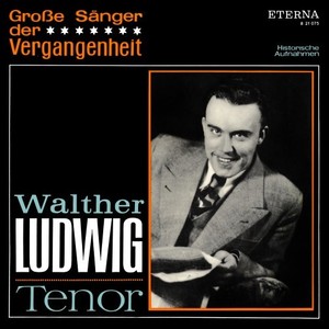 Armer Narr - Es muß gelingen