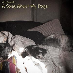 A Song About My Dogs (Explicit)