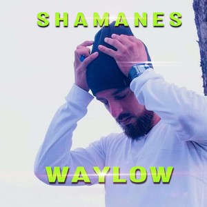 Shamanes