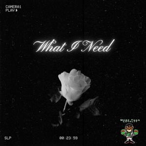 What I Need (Explicit)