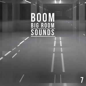 Boom, Vol. 7 - Big Room Sounds