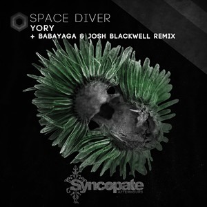 Space Diver (Babayaga & Josh Blackwell Remix)