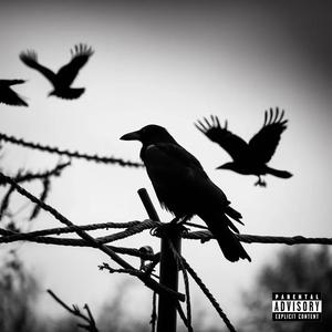 Fy Faen (Explicit)