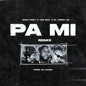 PA MI (Remix)