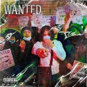 Wanted(feat. TSM)
