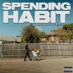 Spending Habit (Explicit)