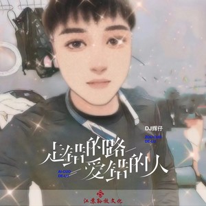 走错的路爱错的人-DJ辉仔