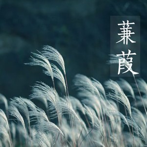 拾光【女声版】