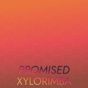 Promised Xylorimba