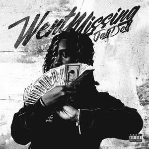 Went Missing (Explicit)