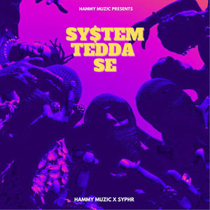 System Tedda Se