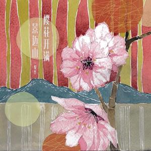 樱花开满景迈山