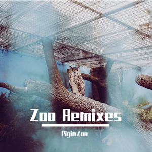 Zoo Remixes