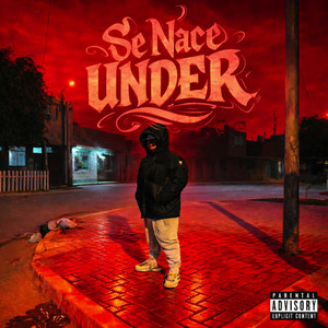 hablan como negros viven como gringos