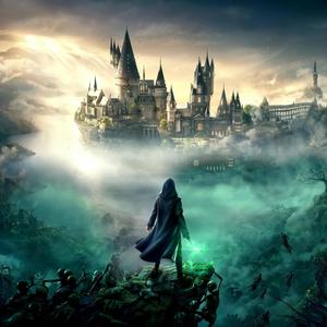 Tuxe - Hogwarts Legacy This School