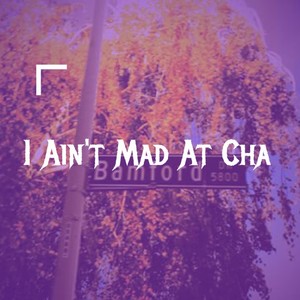 I Ain't Mad at Cha