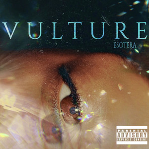 VULTURE (Explicit)