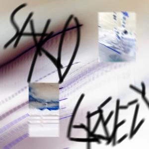 SALO (feat. GreeZy) (Explicit)