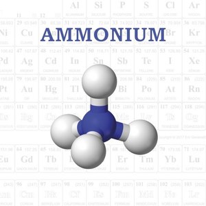 Ammonium