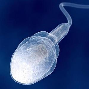 (do b)Uzi (Explicit)