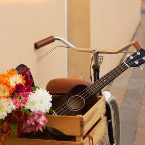 Cozy Afternoon Groove