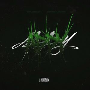 Addy (feat. Bogdanamigo) (Explicit)