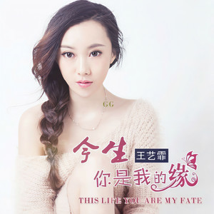 今生你是我的缘 (伴奏)