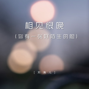 刘海儿 - 相见恨晚 (你有一张好陌生的脸)