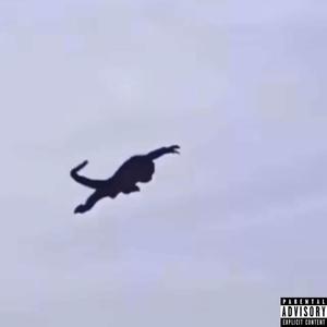 7 Wards (feat. Bushey Won) (Explicit)