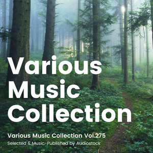 Various Music Collection Vol.275 -Selected & Music-Published by Audiostock-