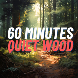 60 Minutes Quiet Wood