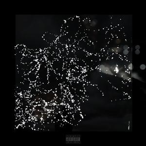 What You Want (feat. Panamera D) (Explicit)