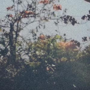 deleted_track_78/ (headfones) (feat. Windmill)
