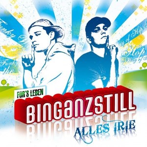 Binganzstill - Hornissennest