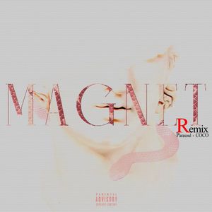 MAGNET R (Remix) [Explicit]