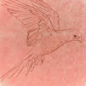 They Want (Explicit)