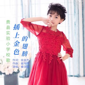 插上金色的翅膀