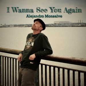 I Wanna See You Again