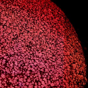 A Pedra Lembrou-se da Nuvem