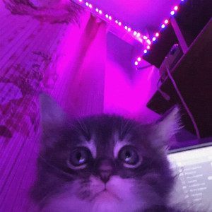 Dead Inside (Explicit)