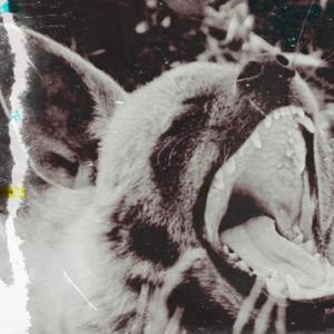 Shut You Up (Explicit)