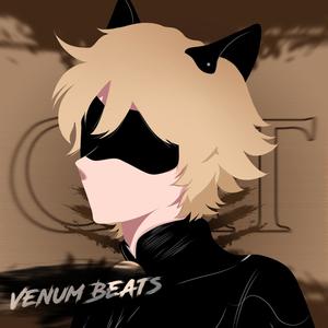 Rap do Cat Noir(Miraculous)