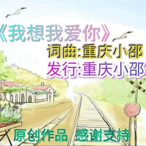 我想我爱你-重庆小邵 (原创伴奏)