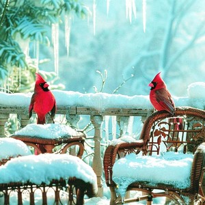 Santa, Your Presence Is Enough For Me (feat. Fiona Marshall)