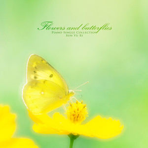 꽃과 나비 (Flowers and butterflies)