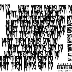 what them bands gon do (Explicit)