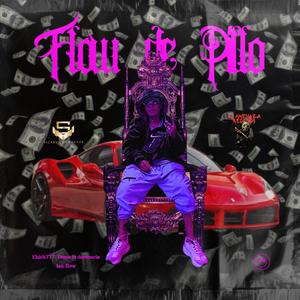 FLOW DE PILLO (feat. El Deme Mami, Ian Flow & 707 COMPANY) [Explicit]