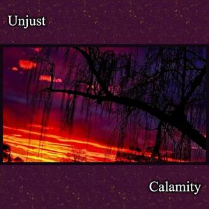 Unjust Calamity