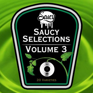 Saucy Selections Volume 3 (Explicit)